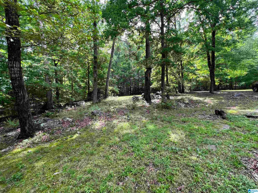 158 DEERWOOD LAKE DRIVE, Harpersville, AL 35078 - #2