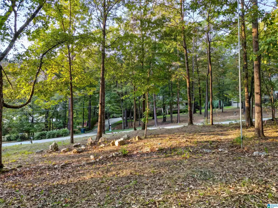 596 MILLER CIRCLE, Indian Springs Village, AL 35124 - #2