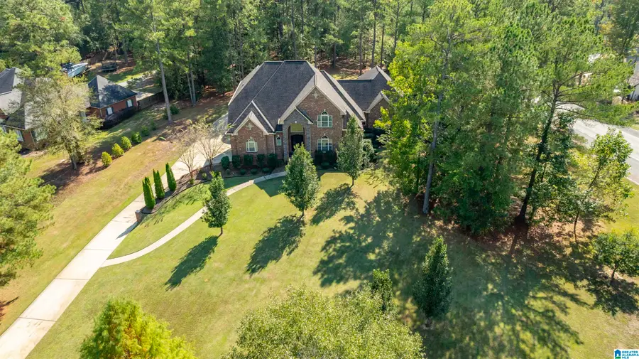 100 CARRIAGE CREEK PATH, Chelsea, AL 35043 - #3