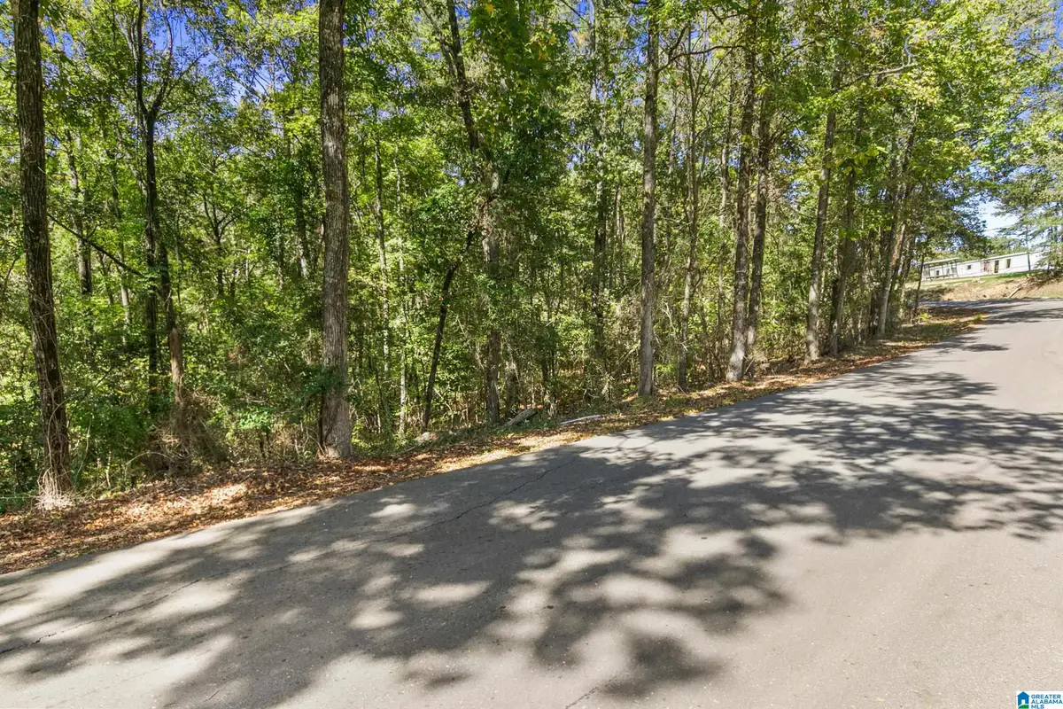 000 MOUNTAIN VIEW LANE, Vance, AL 35490 - #1