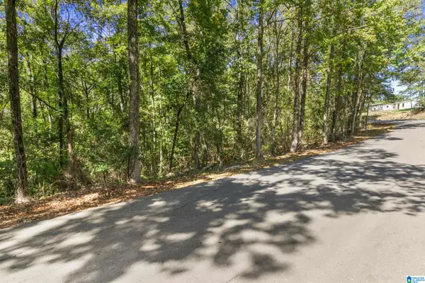 000 MOUNTAIN VIEW LANE, Vance, AL 35490