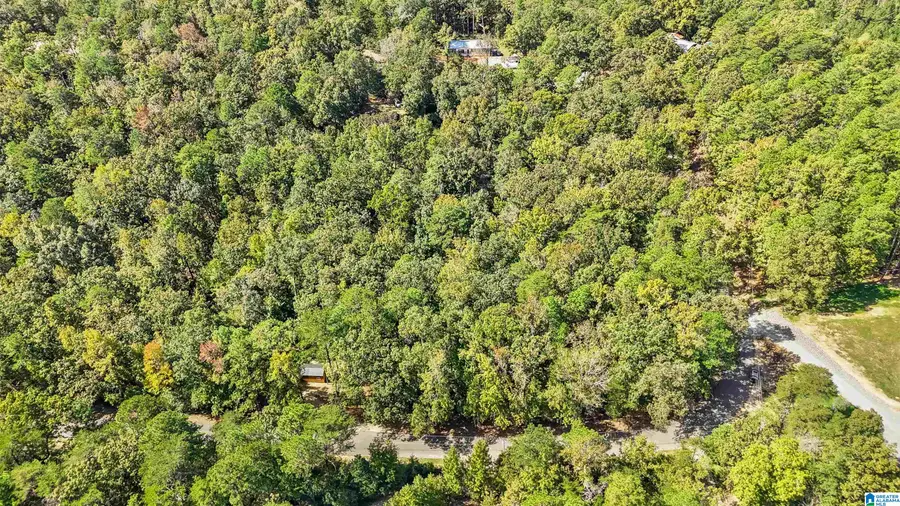 000 MOUNTAIN VIEW LANE, Vance, AL 35490 - #2