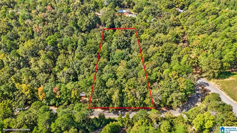 000 MOUNTAIN VIEW LANE, Vance, AL 35490 - #3