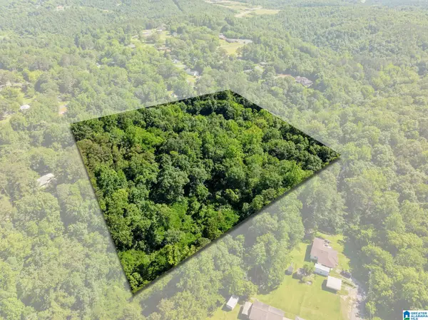 399 12TH AVENUE SE, Graysville, AL 35073