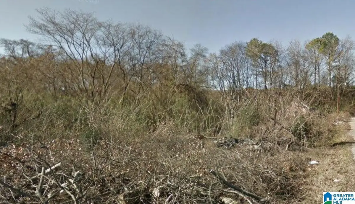 1514 JACKSON STREET, Brighton, AL 35020 - #1