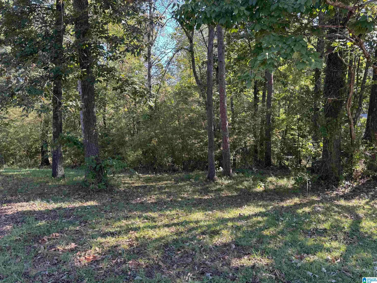 2175 CREEKVIEW LANE, Irondale, AL 35210 - #1