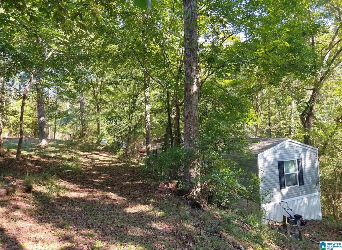 421 RIVER HILL LANE, Adger, AL 35006 - #1