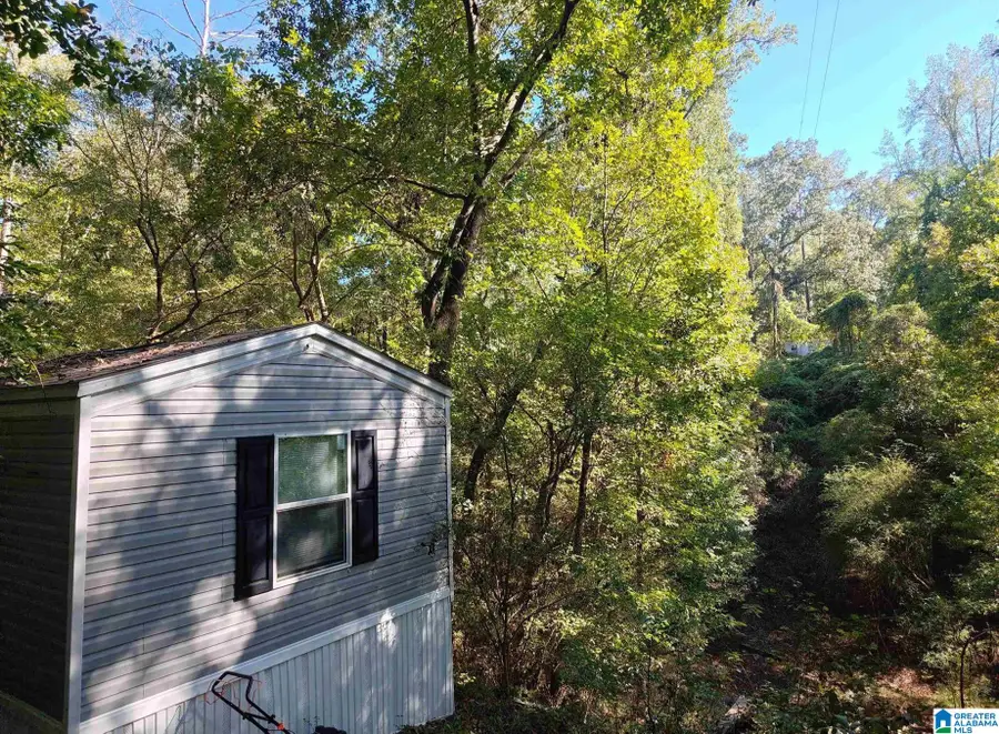 421 RIVER HILL LANE, Adger, AL 35006 - #2