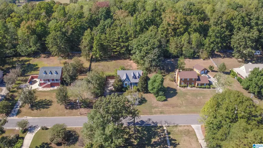 7717 JOHN PELHAM TRAIL, McCalla, AL 35111 - #2