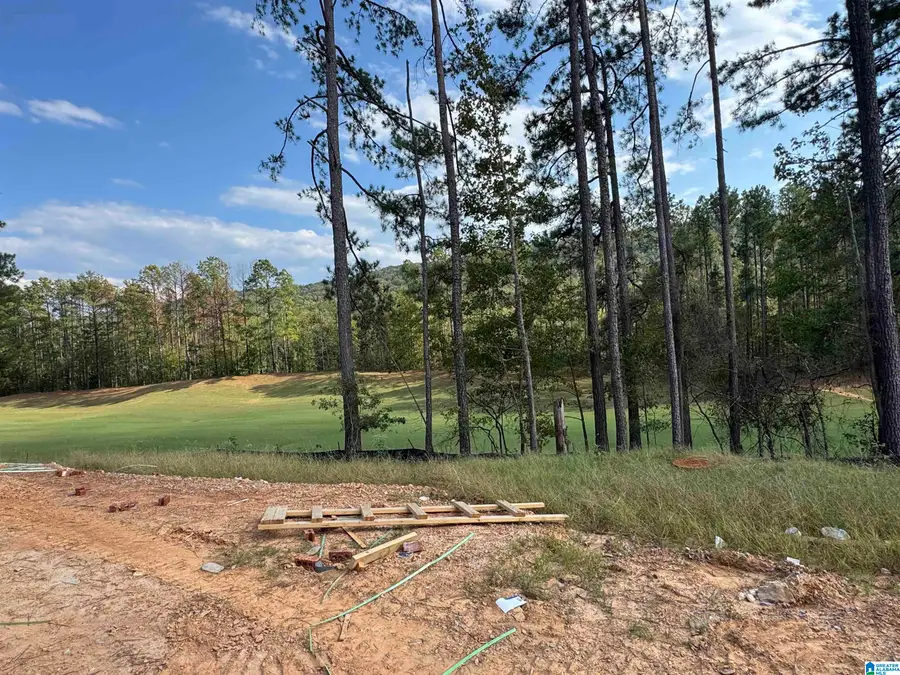 140 SINCLAIR GLEN, Pelham, AL 35124 - #3
