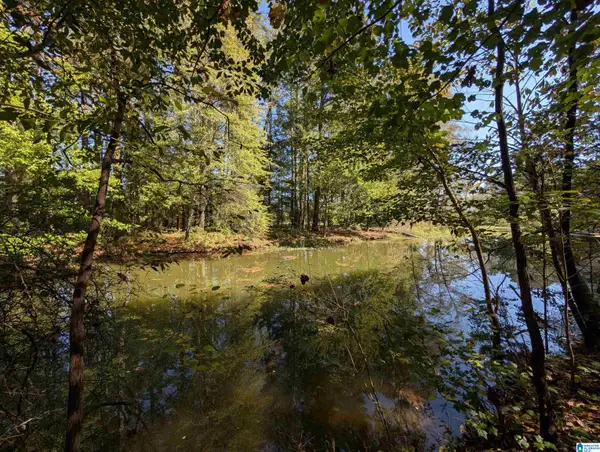0 RIVERCHASE DRIVE, Gadsden, AL 35901