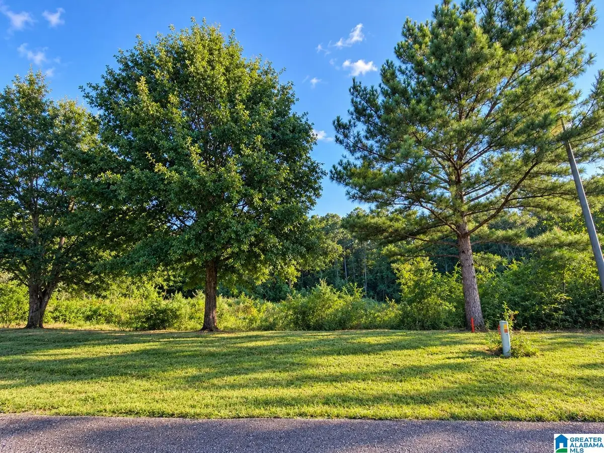 0 PECAN CIRCLE, Jemison, AL 35085 - #1