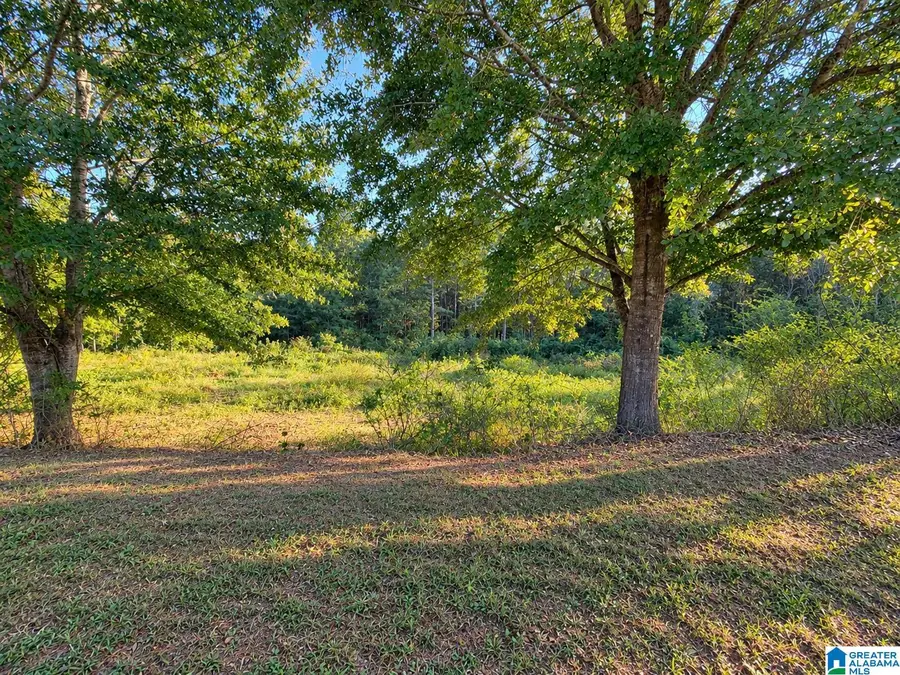 0 PECAN CIRCLE, Jemison, AL 35085 - #2