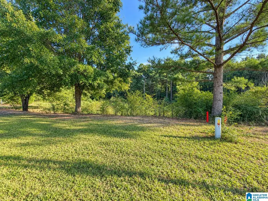 0 PECAN CIRCLE, Jemison, AL 35085 - #3