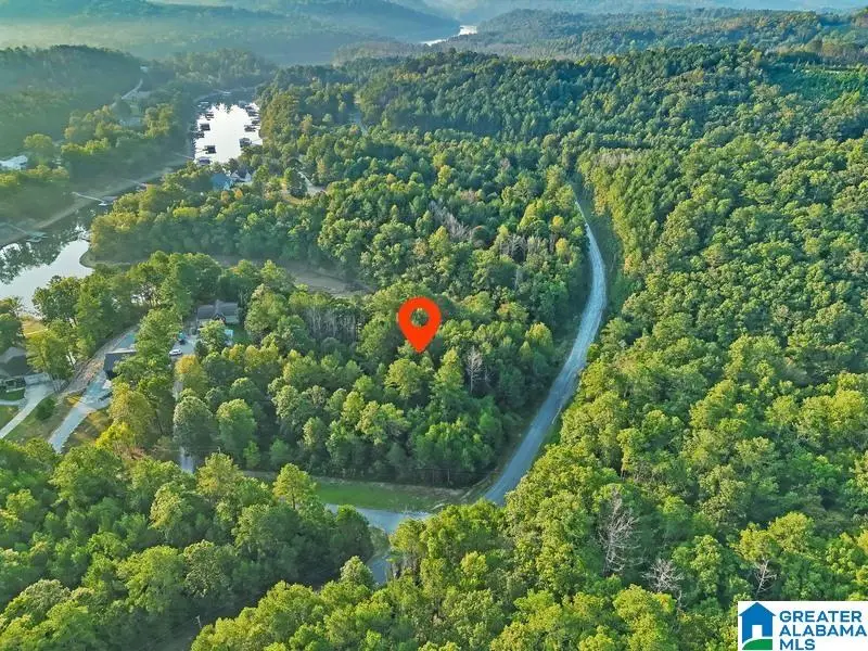 Lot 29 VALLEY DRIVE, Houston, AL 35572 - #3