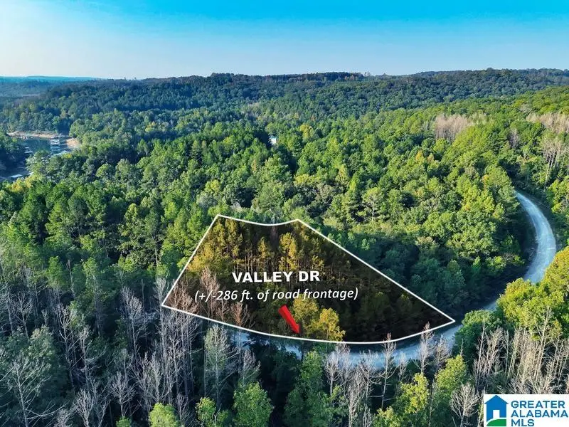 Lot 43 VALLEY DRIVE, Houston, AL 35572 - #2