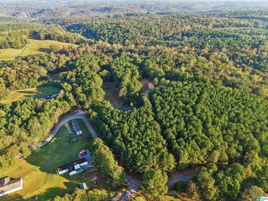 428 OWEN ROAD, Springville, AL 35146 - #3