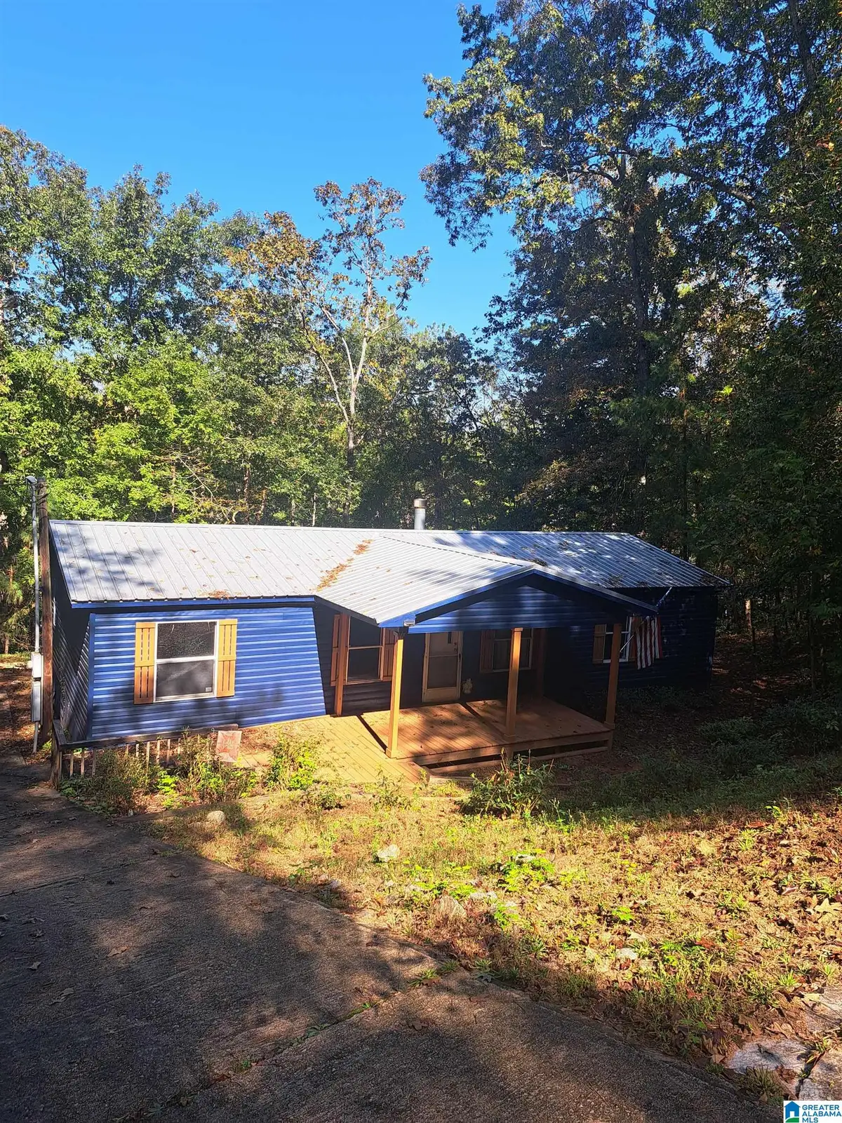 243 FOSTER COVE DRIVE, Lineville, AL 36266 - #1