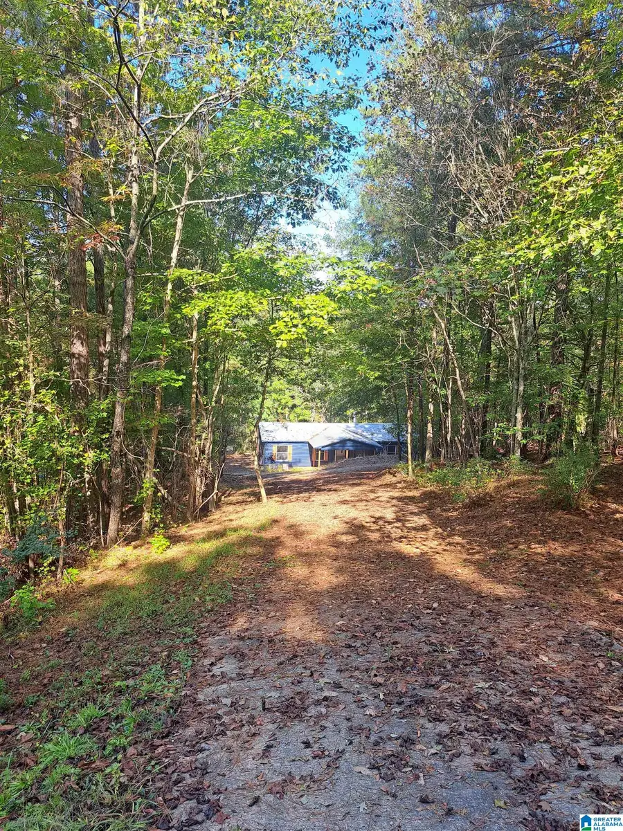 243 FOSTER COVE DRIVE, Lineville, AL 36266 - #2