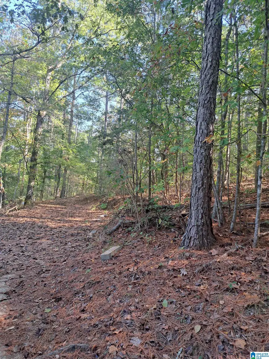243 FOSTER COVE DRIVE, Lineville, AL 36266 - #3