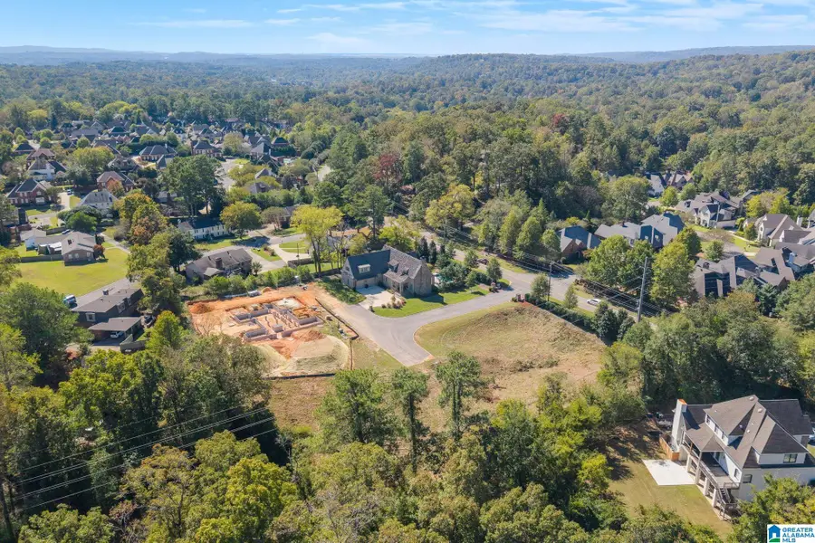 1154 ARDEN PLACE, Vestavia Hills, AL 35243 - #3
