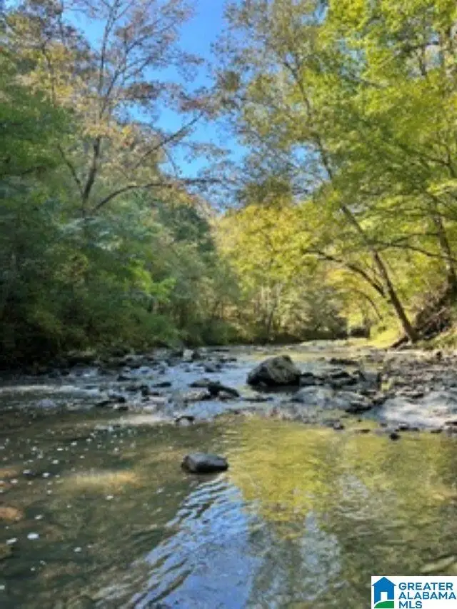 Lot 1 HIGHWAY 42, Calera, AL 35040 - #1
