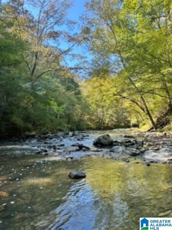Lot 1 HIGHWAY 42, Calera, AL 35040
