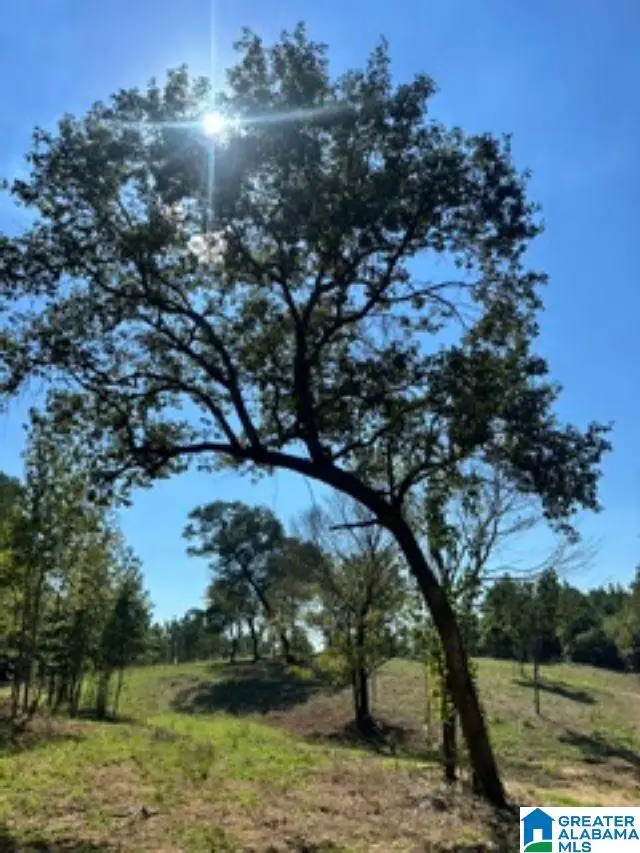 Lot 1 HIGHWAY 42, Calera, AL 35040 - #2