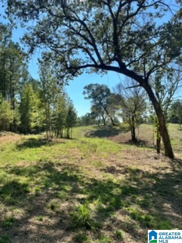 Lot 1 HIGHWAY 42, Calera, AL 35040 - #3