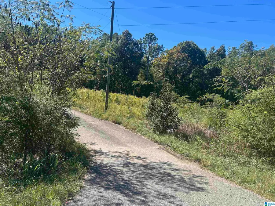 5600 MCASHAN DRIVE, McCalla, AL 35111 - #2