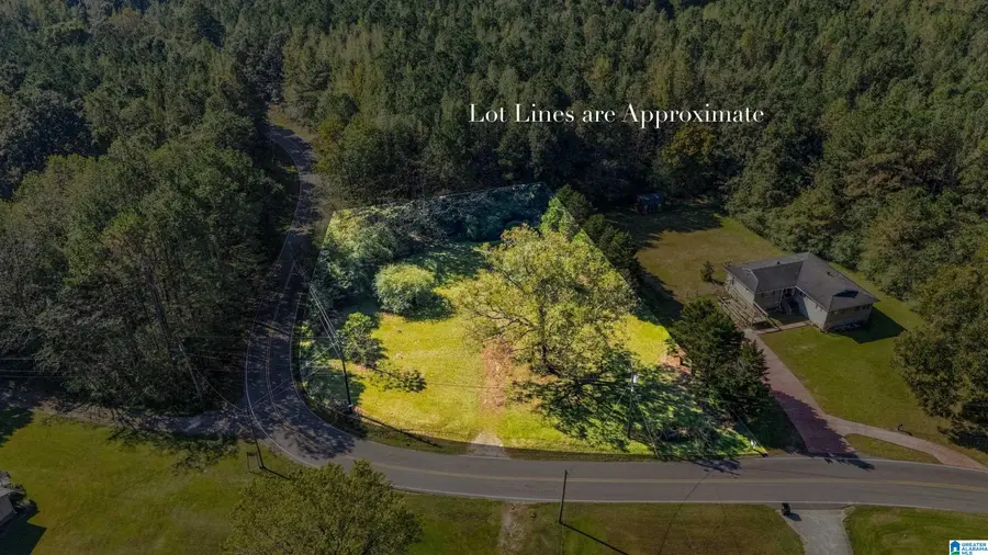 3401 OAKWOOD DRIVE, Adamsville, AL 35005 - #2