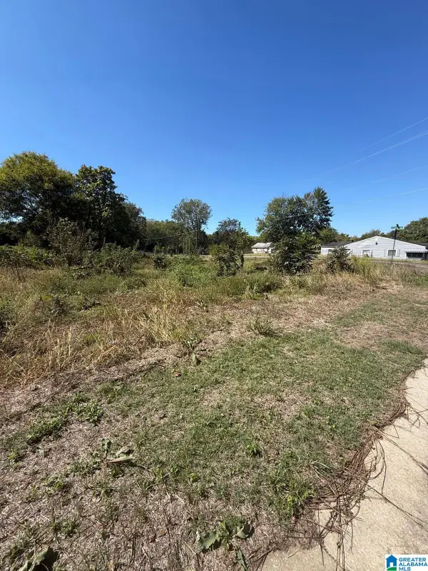 329 MILLVALE STREET, Birmingham, AL 35224