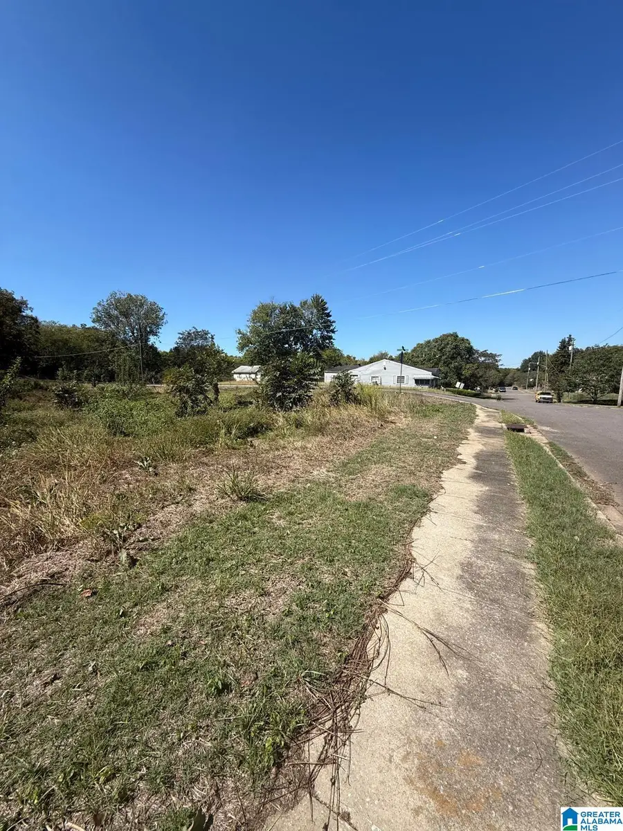 329 MILLVALE STREET, Birmingham, AL 35224 - #3