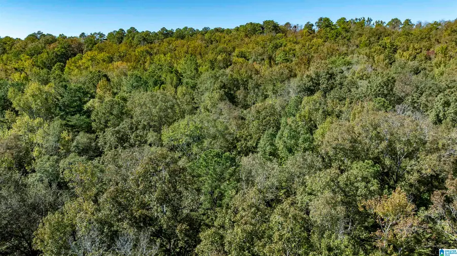 1130 LAKESIDE DRIVE, McCalla, AL 35111 - #3