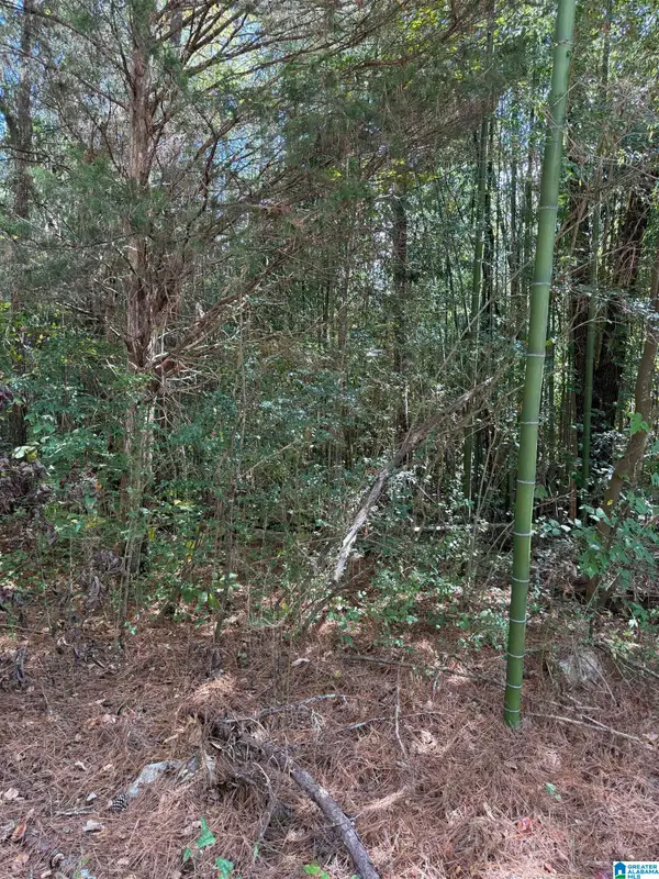 SKYBALL ROAD, Hayden, AL 35079