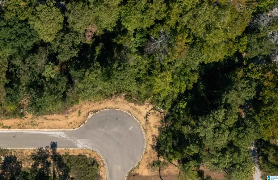 3333 CHANDLER WAY, Hoover, AL 35226 - #3