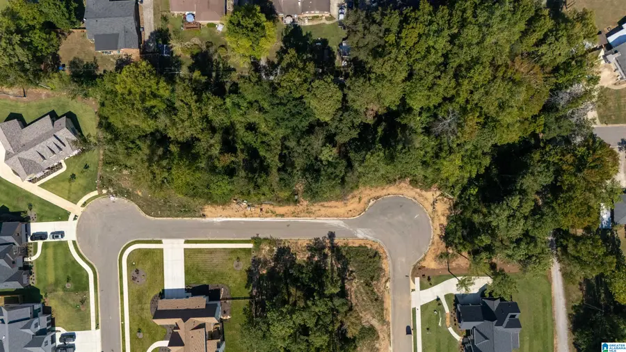 3337 CHANDLER WAY, Hoover, AL 35226 - #2
