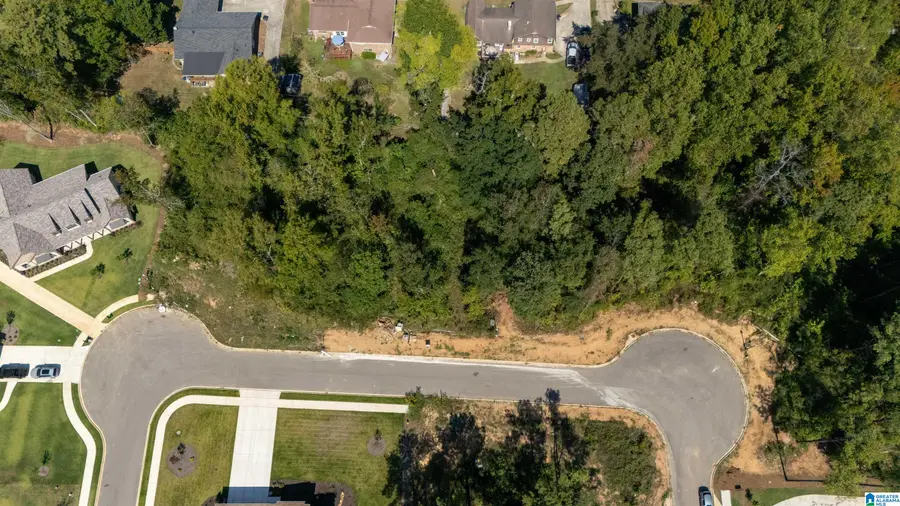 3337 CHANDLER WAY, Hoover, AL 35226 - #3