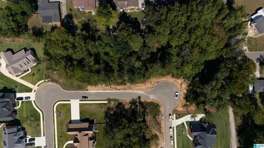 3345 CHANDLER WAY, Hoover, AL 35226 - #2