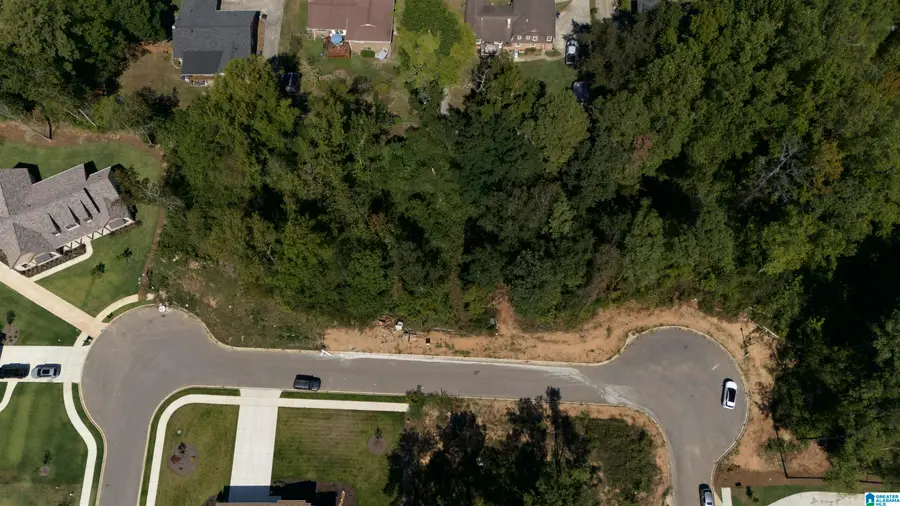 3345 CHANDLER WAY, Hoover, AL 35226 - #3