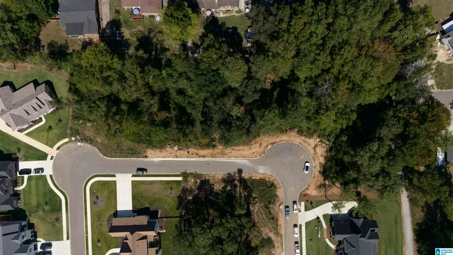 3341 CHANDLER WAY, Hoover, AL 35226 - #3