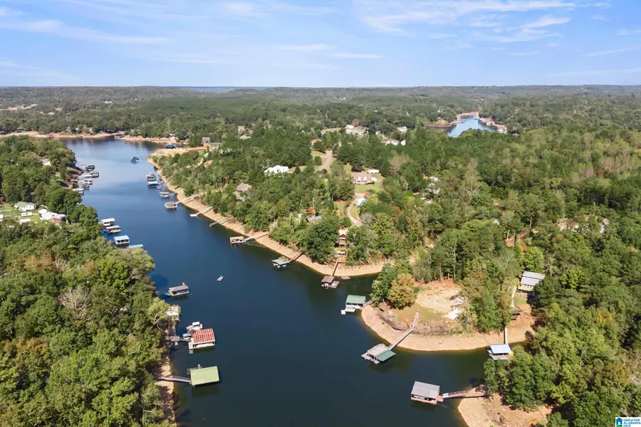 683 COUNTY ROAD 229, Cullman, AL 35057 - #3