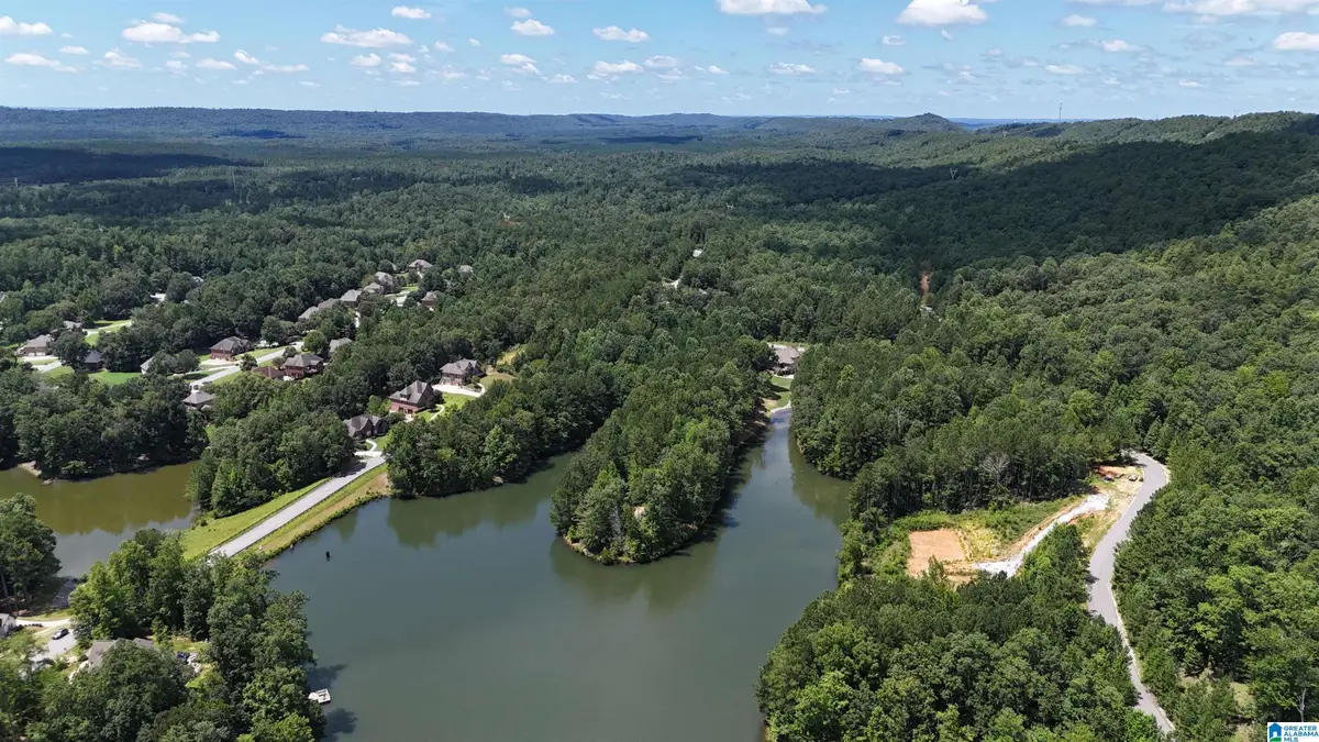 104 RIDGELINE DRIVE, Chelsea, AL 35043 - #1