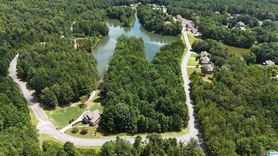 104 RIDGELINE DRIVE, Chelsea, AL 35043 - #2