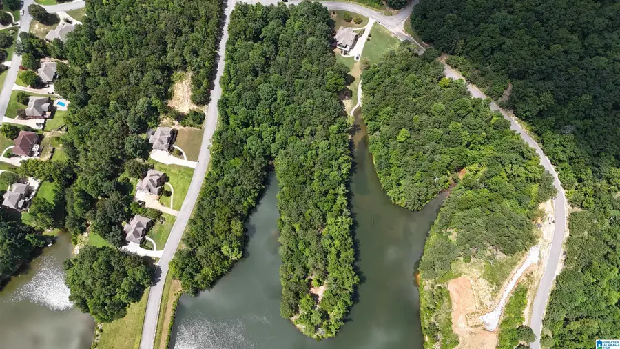 104 RIDGELINE DRIVE, Chelsea, AL 35043 - #3