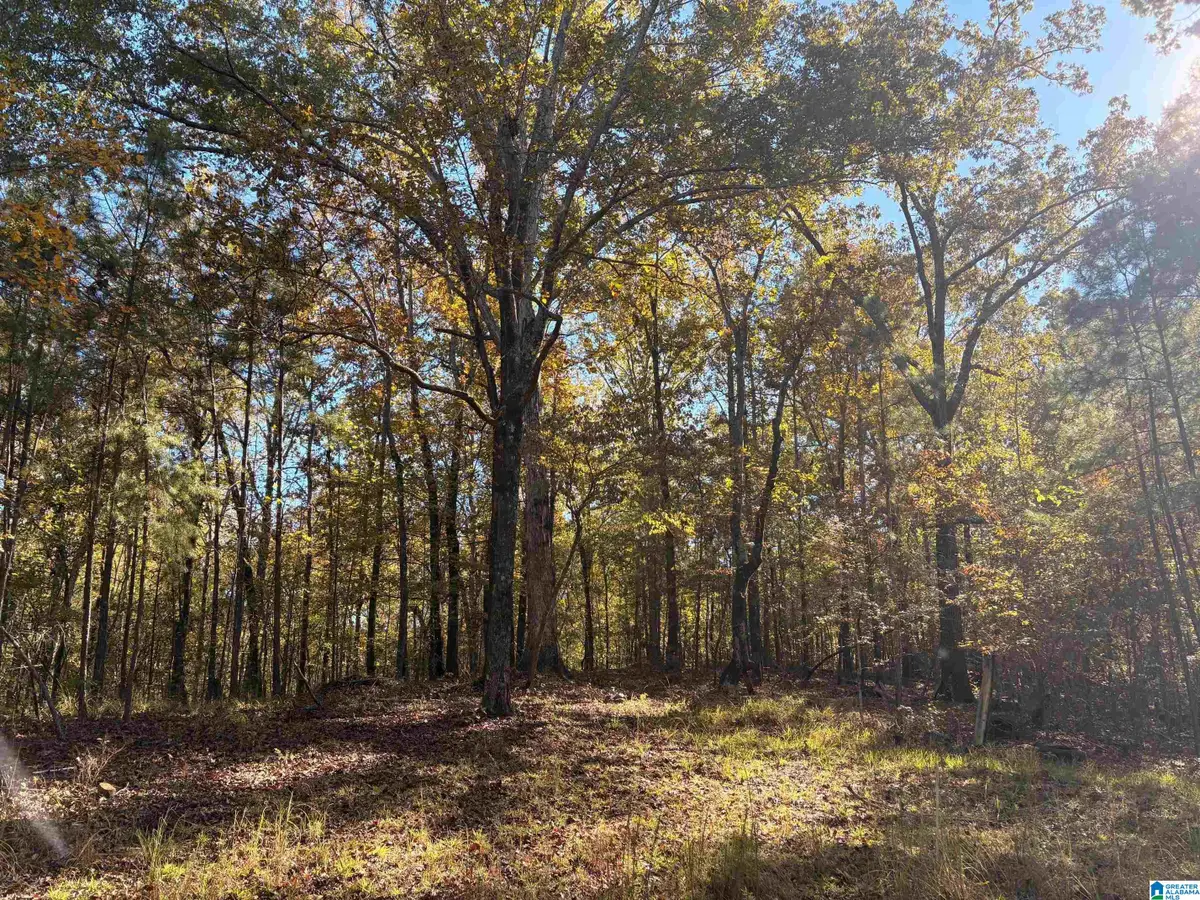4584 CABIN ROAD, Greenwood, AL 35022 - #1
