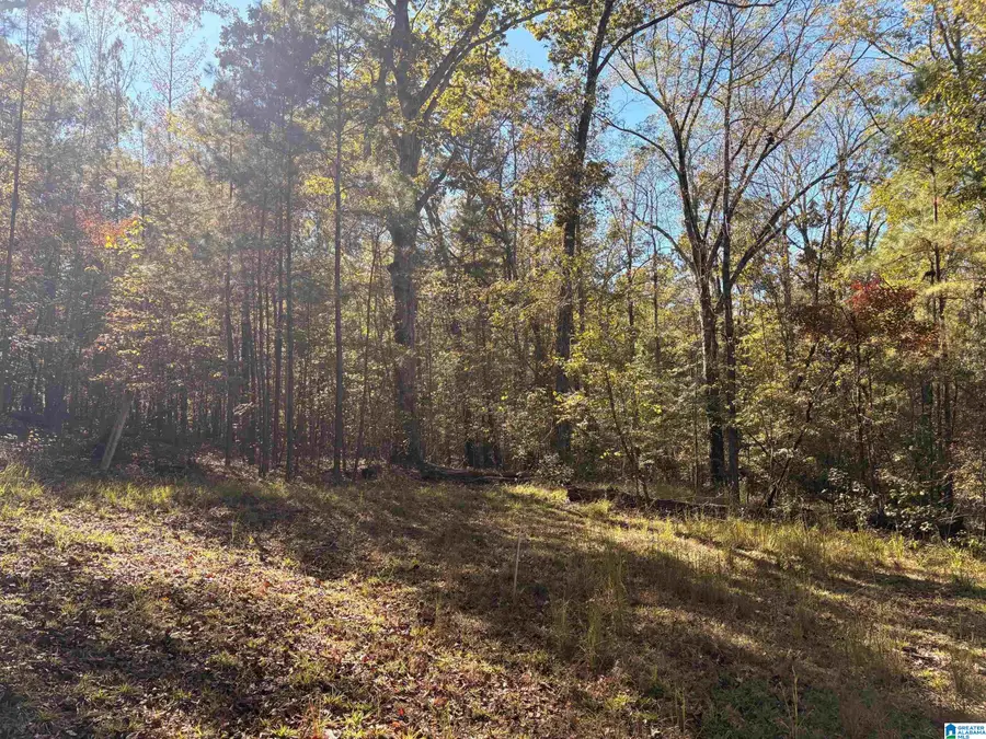 4584 CABIN ROAD, Greenwood, AL 35022 - #2