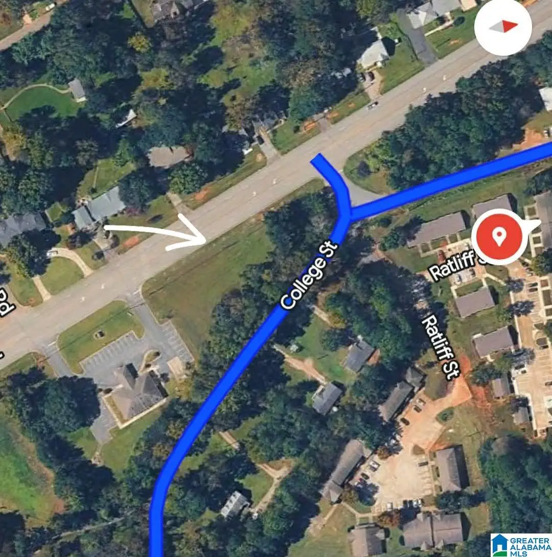 0 MAIN STREET, Blountsville, AL 35031 - #1