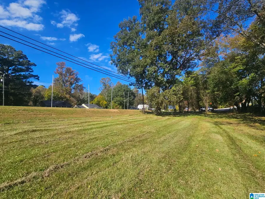 0 MAIN STREET, Blountsville, AL 35031 - #3