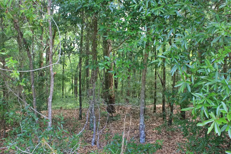 104 Oak Bluff Drive, Enterprise, AL 36330 - Image #2